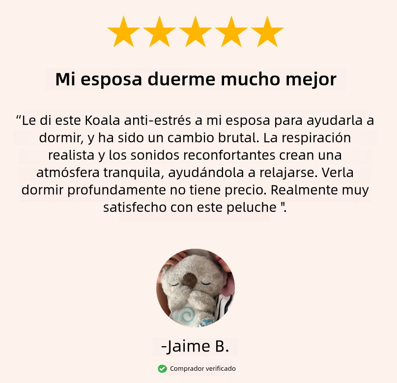 Koala Anti-Estrés 🤎